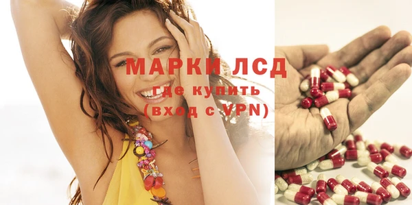 spice Абаза