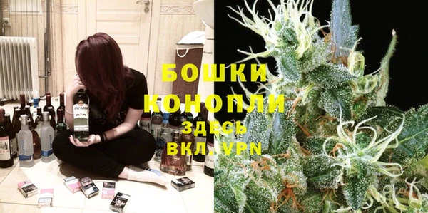 spice Абаза