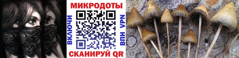 Галлюциногенные грибы GOLDEN TEACHER  Ак-Довурак 